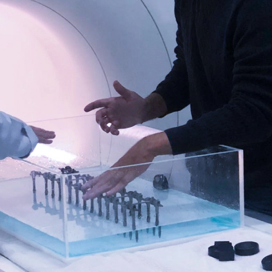 Ensaios de MRI | SCiTec